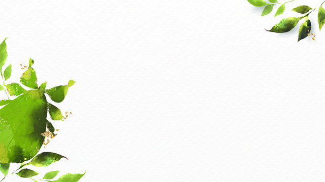 Leaf Insect watercolor background vector