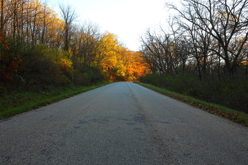 Fototapeta premium Road to fall