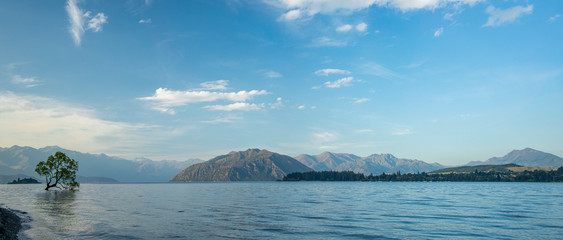Wanaka Tree New Zealand Landscape