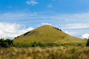 Fototapeta premium Rolling hill symmetrical New Zealand