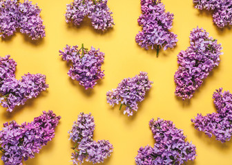 Spring flower pattern. Composition made of lilac flowers on a yellow background.