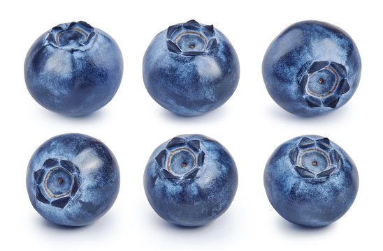 Set of fresh blueberries isolated on white background. Collection of raw bluberry.