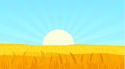 Landscape Background Vector Illustration of a Wheat Field at Sunset