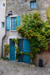 Fototapeta na wymiar Overgrown facade of an old stone house. Blue windows and doors. Autumn France, Blois.