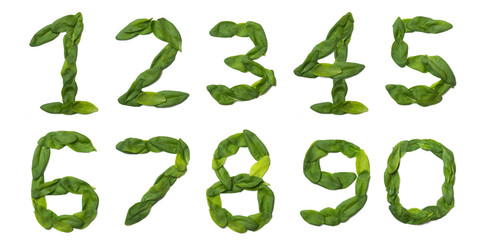 Arabic numerals from made from fresh green spinach leaves on a white isolated background. natural bonatic pattern made from leaves. Bright alphabet for  design