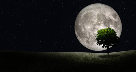 Full Moon in space with green tree on green grass field. (Elements of this image furnished by NASA.)