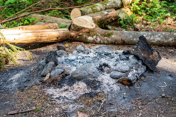 Obraz premium fire place bbq in forest with stones and ashes