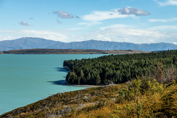 Vibrant lakeside with trees