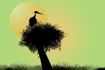 The silhouette of a bird with a tree view Natural atmosphere with light green Used as cover image for background