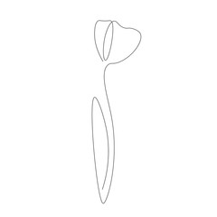 white calla lily line drawing, vector illustration 