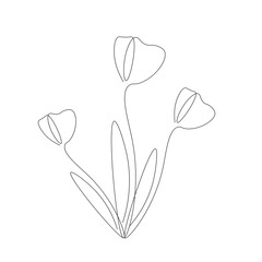 tulip flower garden vector illustration 