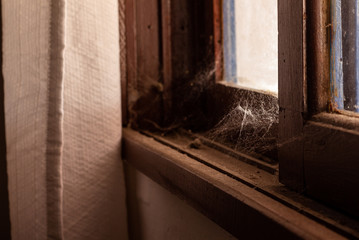 cobwebs in the corner of the window