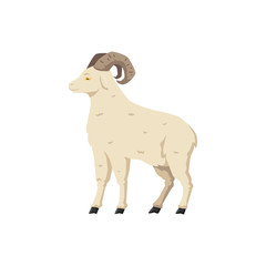 Naklejka premium Cartoon ram sheep from side view isolated on white background