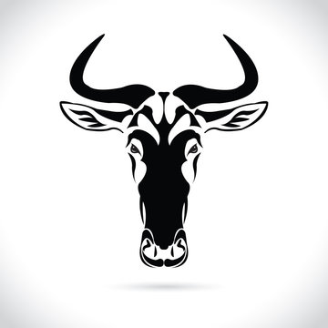 Vector image of an wildebeest head design on the white background.