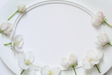 empty white oval frame with delicate Apple blossoms. blank with flowers. mockup card for womans day wedding