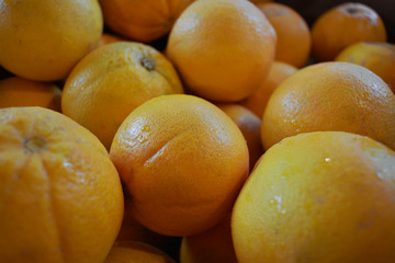 Delicious oranges taken by a man