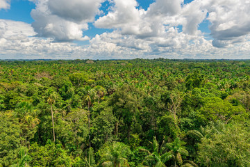Aerial landscape of the Amazon Rainforest which comprise the countries of Brazil, Bolivia,...