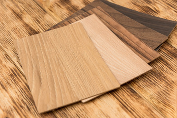 Obraz na płótnie Canvas Sampler furniture material dor design or decoration interior. Wood color catalog as texture or pattern. Floor plank for industry.