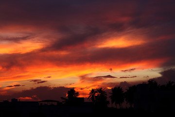 Naklejka premium sunset in the sky
