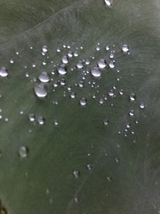 water drops 