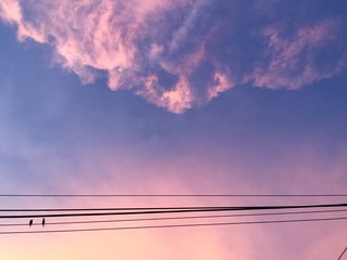 birds and clouds in the sunset sky