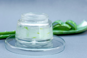 Aloe vera gel and aloe vera star cactus slide Isolated on gray background