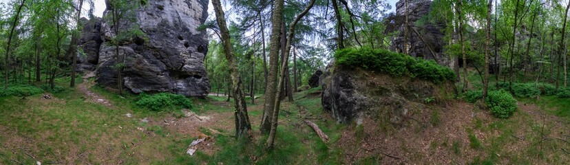 Waldpanorama Teufelsküche Allgäu