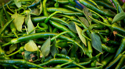 Freshly picked green hot peppers in a Turkish market.