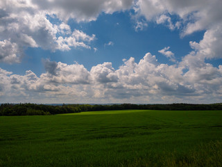 green field and blue sky