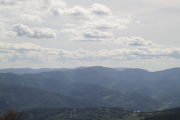 Naklejka premium Dry frozen may mountains forest