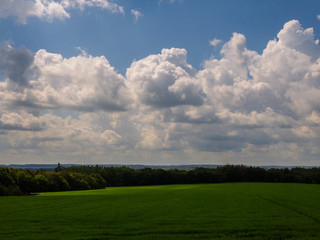 green field and blue sky