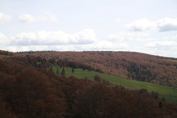 Dry frozen may mountains forest