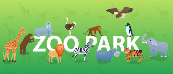 Zoo animals on green background with silhouettes. Animals in different poses. Bear, walrus, hippo, lion, ostrich, zebra, monkey, eagle, giraffe, penguin, elephant, tiger. Wild beasts. Flat Vector