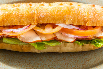 ローストした鴨肉のサンドウィッチ　Roasted duck ham  sandwich
