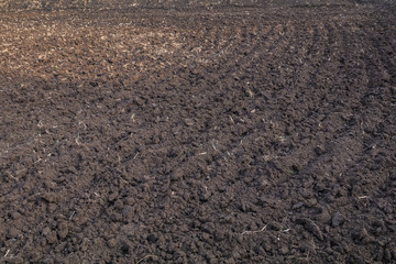 a farm land in India plowed for sowing before the monsoon starts
