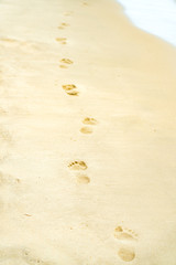 Footprint in the sand