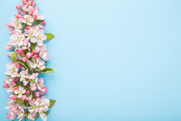 Fototapeta na wymiar Fresh branches of white pink apple blossoms on light blue table background. Pastel color. Flat lay. Closeup. Empty place for inspirational text, lovely quote or positive sayings. Top down view.