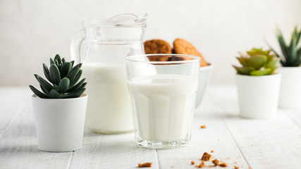  Banner glass of milk, jug of milk, cookies, green plants. The concept of dairy products, farm products. Copy space.