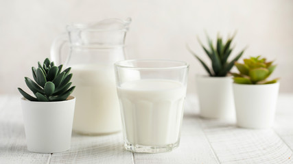  Banner glass of milk, jug of milk, green plants. The concept of dairy products, farm products Copy space.