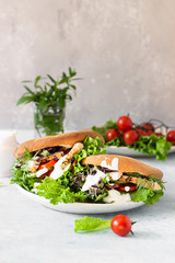 Pita bread sandwiches with grilled chicken, tomato, cucumber, lettuce and sauce served on ceramic plate over grey stone background. Healthy fast food concept.