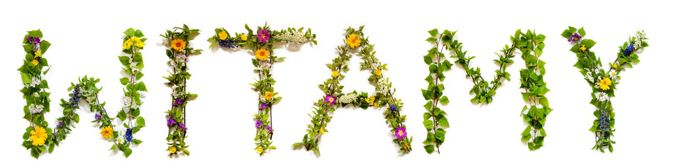 Flower, Branches And Blossom Letter Building Polish Word Witamy Menas Welcome. White Isolated Background