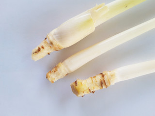 lemongrass herbs on the white background 
