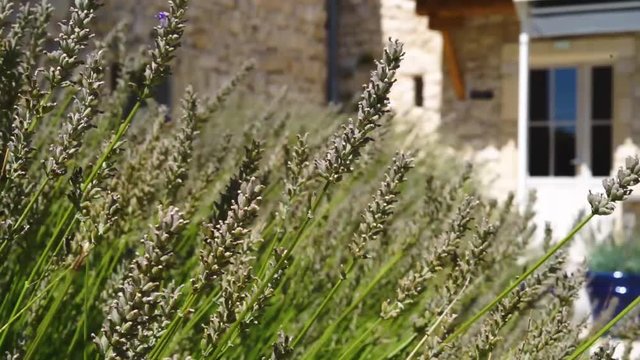 maison proven&ccedil;al