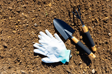 top view. Gardening tools.Gardening or planting concept.