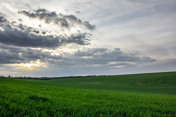 Obraz premium Rays in the sky