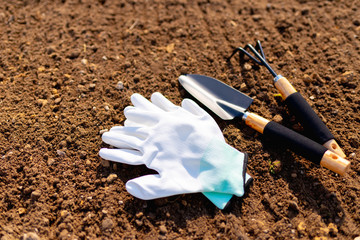 top view. Gardening tools.Gardening or planting concept.