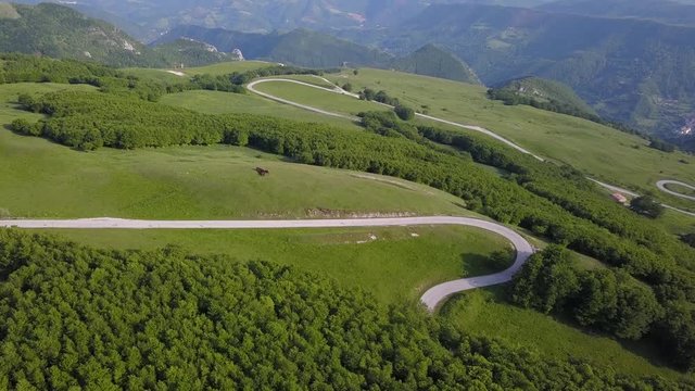 Green fields of mountain Nerone in center of Italy