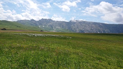 landscape with mountains