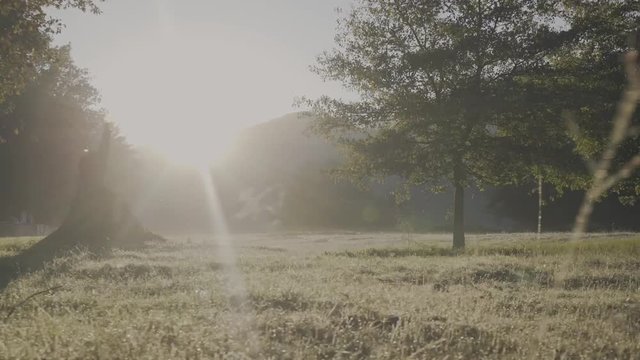 Camera Tracks Across Misty Meadow During The Sunrise