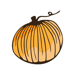 Hand drawn colorful pumpkin isolated on a white background. Doodle, simple outline illustration. It can be used for decoration of textile, paper and other surfaces.